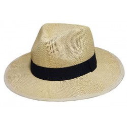 Chapeau Panama