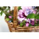 Panier jardin osier buff 2 dimensions